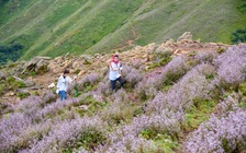 Trekking săn 'nóc nhà' bùng nổ, đi sao cho an toàn ?