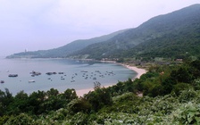 Quận Sơn Trà tổ chức thi sáng tác bộ nhận diện thương hiệu