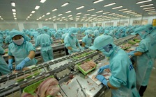Thủy sản Việt chưa tận dụng được EVFTA vì thẻ vàng