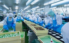 8 doanh nghiệp xuất khẩu lao động bị dừng đưa lao động sang Nhật