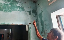 Sống khổ trong dự án treo