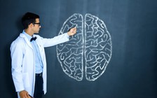 Đối phó với hậu Covid-19: Chuyên gia Harvard khuyên nên giảm 5 thứ hại não này