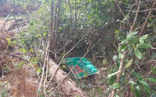 Âm ỉ phá rừng phòng hộ ở Đắk Nông