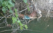 Phát hiện bộ xương người ở đập thủy điện Sông Bung 4