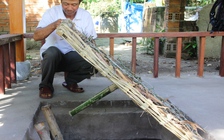 Khai trương điểm du lịch Di tích lịch sử cách mạng quốc gia Địa đạo Kỳ Anh