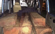 CSGT truy đuổi hơn 3 km truy bắt xe ô tô chở gỗ lậu