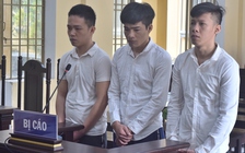 Giấu ma túy trong xe đồ chơi trẻ em rồi gửi từ TP.HCM về Quảng Nam