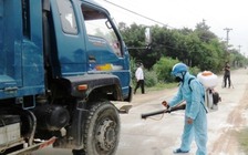 Dịch tả lợn châu Phi lan tới Quảng Nam