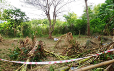 Một người đàn ông tử vong sau tiếng nổ lớn ở Quảng Nam