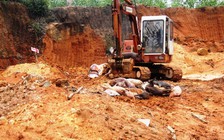 Bị buộc 'nộp phí' để tiêu hủy heo nhiễm dịch, người dân được trả lại tiền