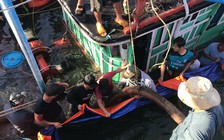 Xác định danh tính 3 ngư dân mất tích trên vùng biển Trường Sa