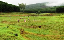 Cả làng dùng tay không bắt cá dưới chân đập sau bão số 5