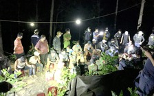 Từ Đà Nẵng, Quảng Ngãi, Gia Lai đến Quảng Nam đánh bạc giữa lúc dịch Covid-19