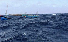 Xác định được tàu hàng đâm va làm chìm tàu câu mực rồi bỏ đi