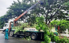 Học sinh Quảng Nam nghỉ học tránh bão số 5