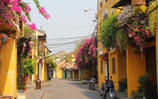 Phố cổ Hội An mở cửa đón khách tham quan trở lại, giảm 50% giá vé