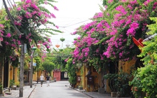 Tin dịch Covid-19 hôm nay 30.1: Hội An tạm dừng nhiều hoạt động lễ hội