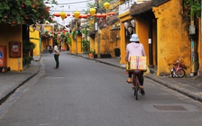 Quảng Nam: Cảnh cáo Phó chủ tịch UBND TP.Hội An và một Bí thư phường