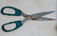 Quảng Nam: Tạm giữ hình sự nghi phạm dùng kéo đâm chết em trai