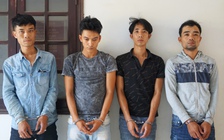 Quảng Nam: Tạm giữ hình sự nhiều 'bóng ma vườn mai' chuyên đào trộm mai trong đêm