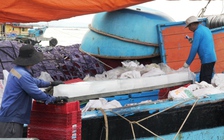 Trung Quốc áp lệnh cấm đánh bắt trên Biển Đông: ‘Chuyện cũ rích’