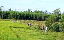 Quảng Nam: Làm rõ vụ nam thanh niên tử vong dưới trụ điện giữa đồng ruộng