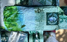 Nhặt 20 gói nghi ma túy dạt vào bờ biển: 'Tưởng là đường nên pha nước nếm thử'