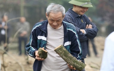 2 cây sưa trăm tỉ ở Hà Nội vẫn ế sau 2 lần tổ chức đấu giá