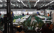 Quán vắng hoe, chủ lên phương án đưa khách và xe về tận nhà sau cuộc nhậu