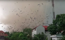 Lốc xoáy khiến 3 người chết, 18 người bị thương ở Vĩnh Phúc