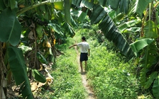 Kết quả giám định ADN ‘tố cáo’ kẻ hiếp dâm bé gái 12 tuổi ở Hà Nội