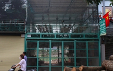 Hà Nội: Chủ vườn lan bị ‘tố’ lừa hơn 200 tỉ đồng đã ra trình diện