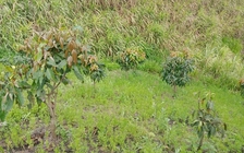 Nam sinh lớp 8 được tìm thấy sau 1 tuần mất tích, trên người nhiều vết đâm