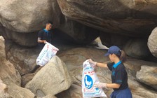 Giúp... rùa đẻ trứng