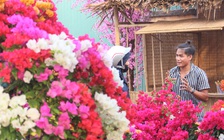 Có ca nhiễm Covid-19 tại TP.HCM: Người trẻ kinh doanh hoa tết 'đứng ngồi không yên'