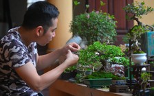 Kiếm thêm tiền triệu nhờ livestream bán bonsai