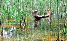 Kiểm điểm cán bộ thanh tra liên quan đến 'công văn gửi Tổng Thanh tra Chính phủ'