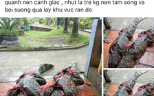 'Bắt được cá sấu 83 kg trên kênh Zero' là tin thất thiệt