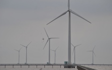 Đại gia điện gió thắng kiện 86 tỉ đồng