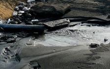 Nhiều lần cá chết trên sông ở H.Đầm Dơi nhưng không thu được mẫu vật