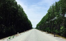 171 trụ viễn thông cắm trái phép trên tuyến đường Hồ Chí Minh