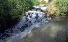 Phạt 843 triệu đồng vì xả thải ra môi trường