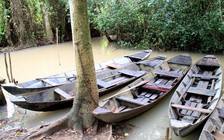 Đùa giỡn khi sang sông, xuồng chở 9 cháu nhỏ chìm vào đêm 30 Tết