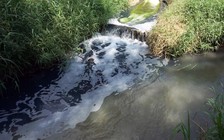 Cà Mau: Một doanh nghiệp bị phạt 360 triệu đồng vì xả thải ra môi trường