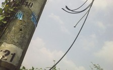 Cà Mau: Điều tra vụ trộm dây điện khiến 3 ấp mất điện