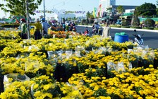 30 Tết chợ hoa giảm giá vẫn ế: Người bán không đập bỏ mà mang hoa lên chùa