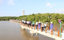 Cà Mau tạm dừng hoạt động quán bar, karaoke, gym... để phòng dịch Covid-19