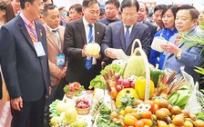 Thạch 'đá' làm rau