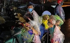 Cà Mau: Chính quyền thừa nhận thiếu sót trong việc tiêu hủy đàn chó được chủ chở về quê