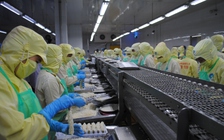 Cà Mau: Mức thưởng tết cao nhất 100 triệu đồng/người